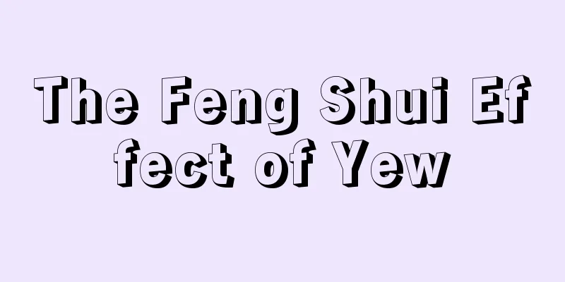 The Feng Shui Effect of Yew