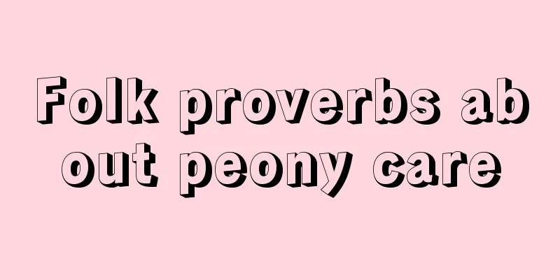 Folk proverbs about peony care