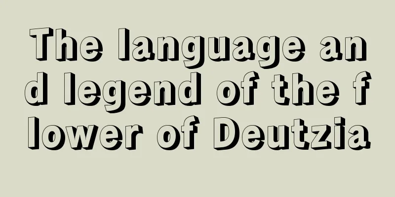 The language and legend of the flower of Deutzia