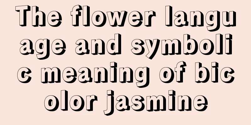 The flower language and symbolic meaning of bicolor jasmine