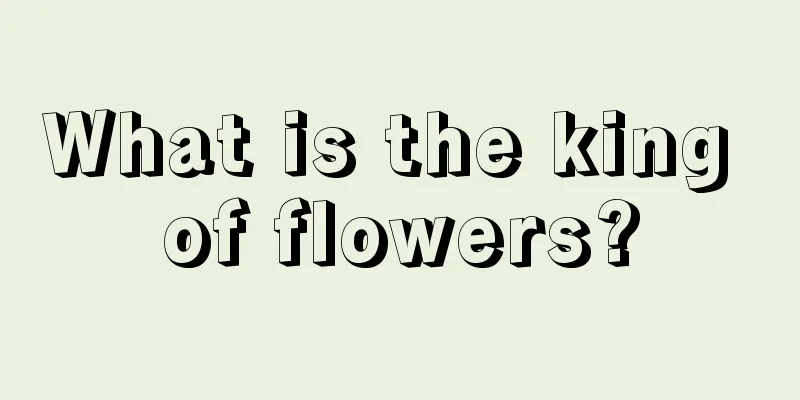 What is the king of flowers?