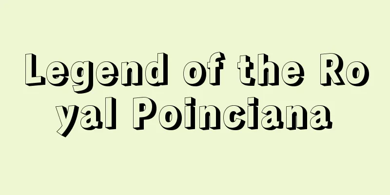 Legend of the Royal Poinciana