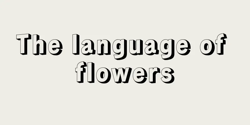 The language of flowers