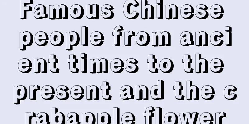 Famous Chinese people from ancient times to the present and the crabapple flower