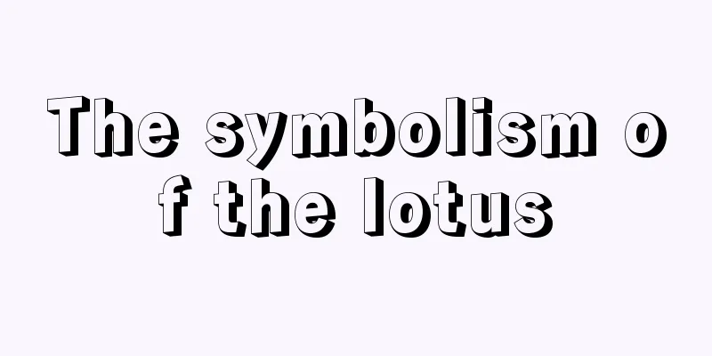 The symbolism of the lotus