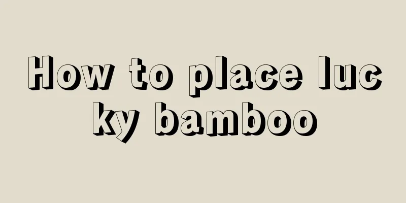 How to place lucky bamboo