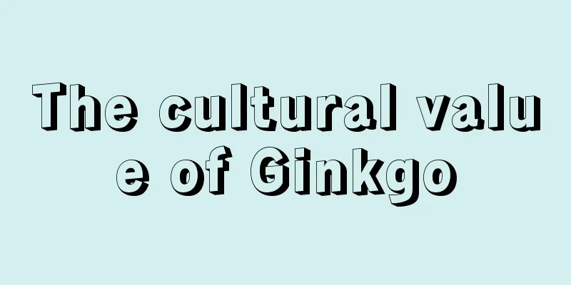 The cultural value of Ginkgo