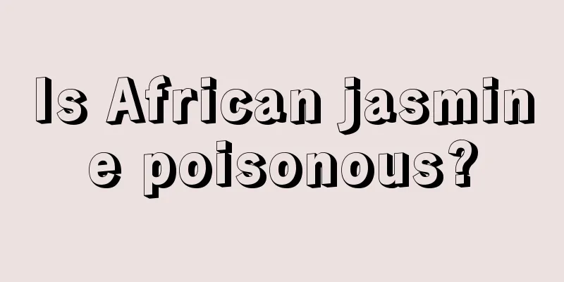 Is African jasmine poisonous?