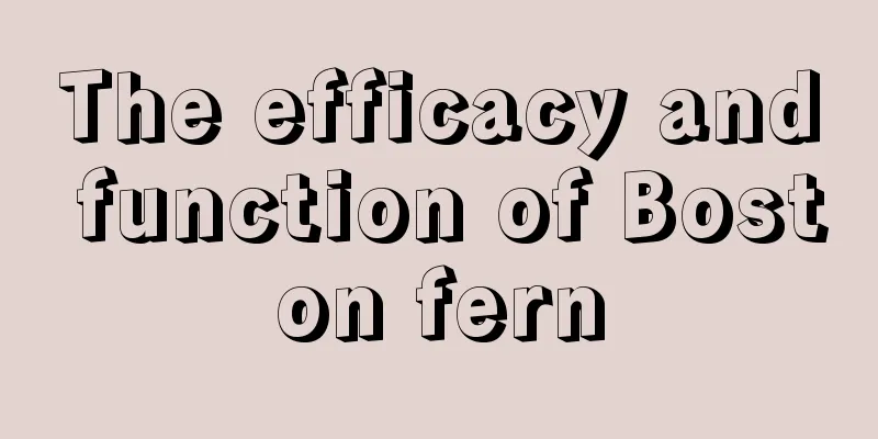 The efficacy and function of Boston fern