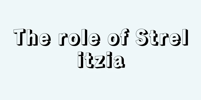 The role of Strelitzia