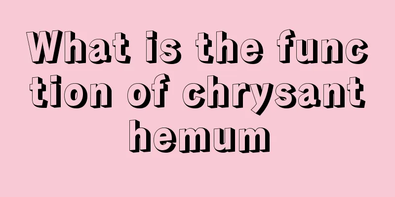 What is the function of chrysanthemum