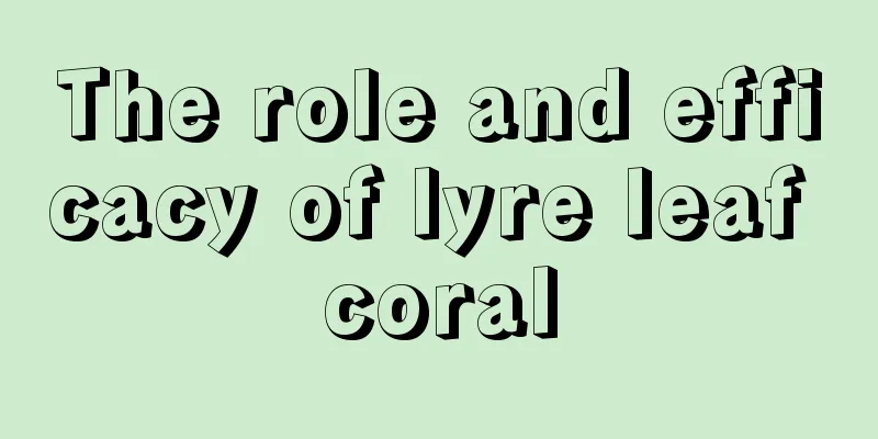 The role and efficacy of lyre leaf coral