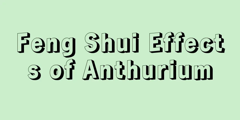 Feng Shui Effects of Anthurium