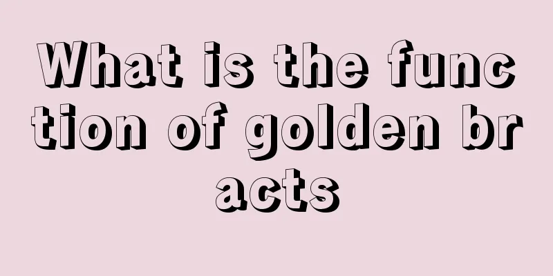 What is the function of golden bracts