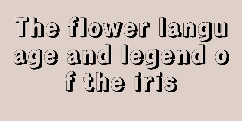 The flower language and legend of the iris