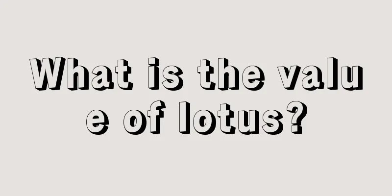 What is the value of lotus?