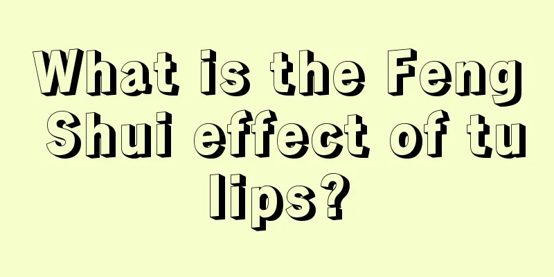 What is the Feng Shui effect of tulips?