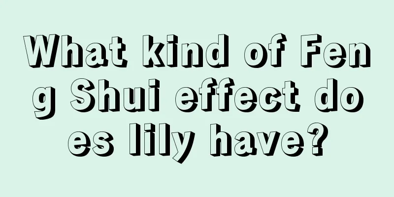 What kind of Feng Shui effect does lily have?