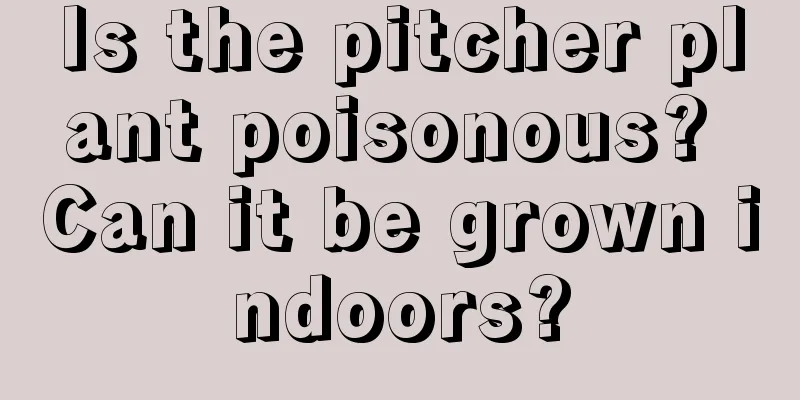 Is the pitcher plant poisonous? Can it be grown indoors?