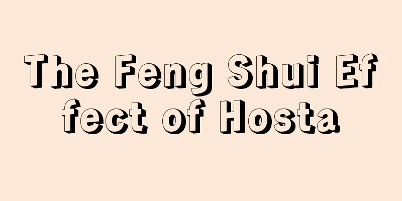 The Feng Shui Effect of Hosta