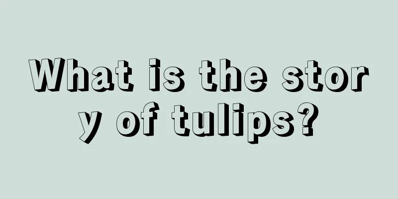 What is the story of tulips?