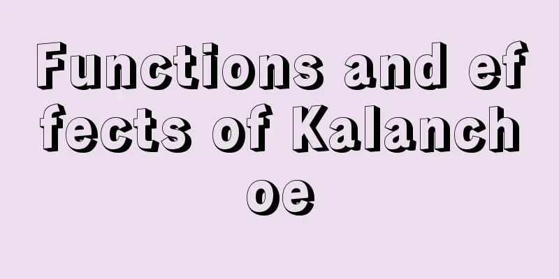 Functions and effects of Kalanchoe