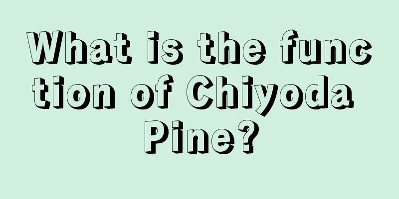 What is the function of Chiyoda Pine?