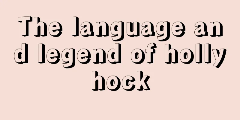 The language and legend of hollyhock