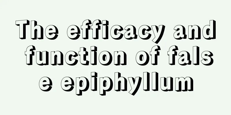 The efficacy and function of false epiphyllum