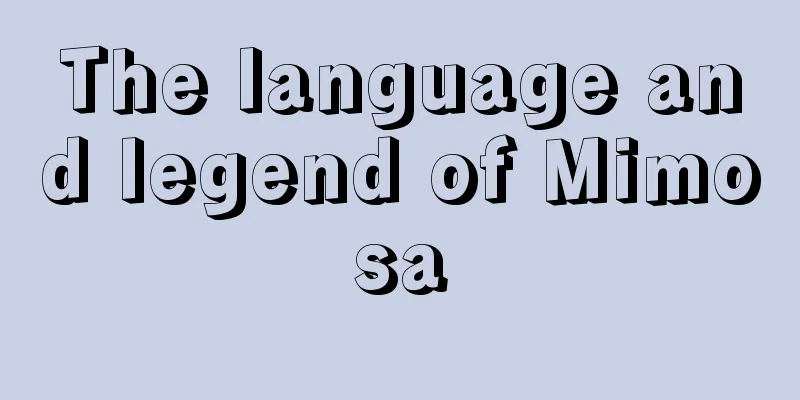 The language and legend of Mimosa