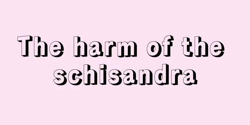 The harm of the schisandra