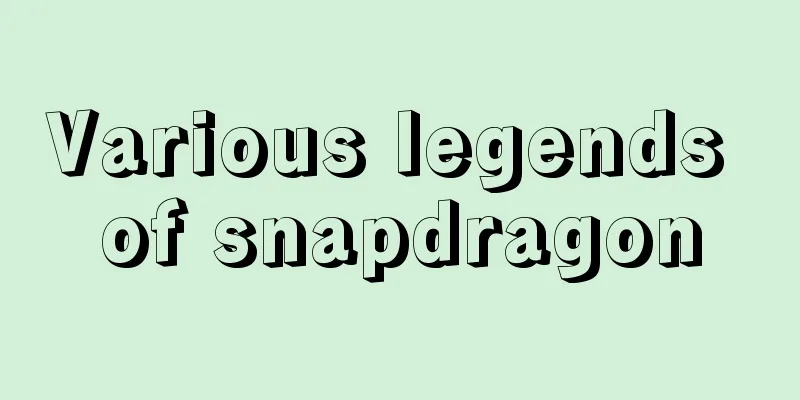 Various legends of snapdragon