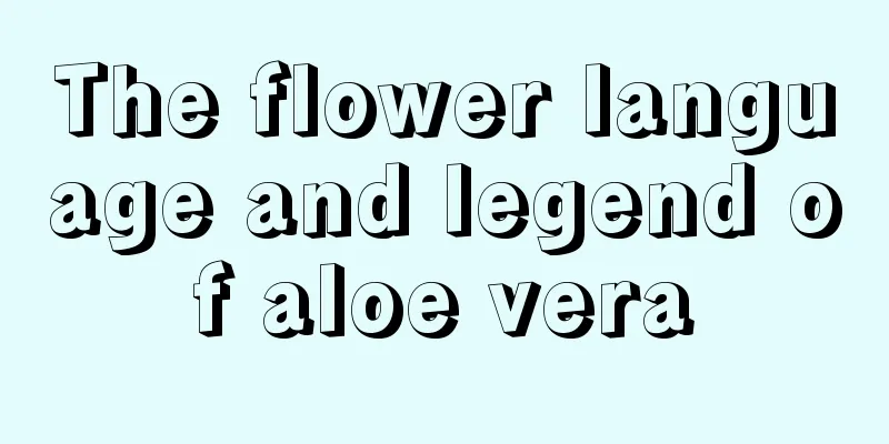 The flower language and legend of aloe vera