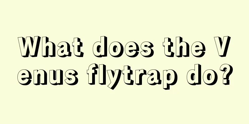 What does the Venus flytrap do?