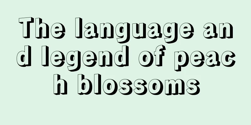 The language and legend of peach blossoms