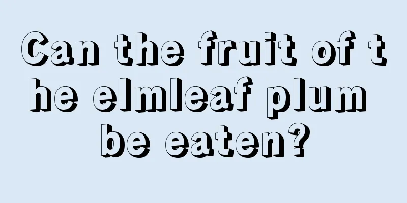 Can the fruit of the elmleaf plum be eaten?