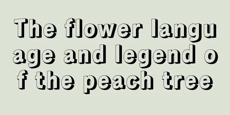 The flower language and legend of the peach tree