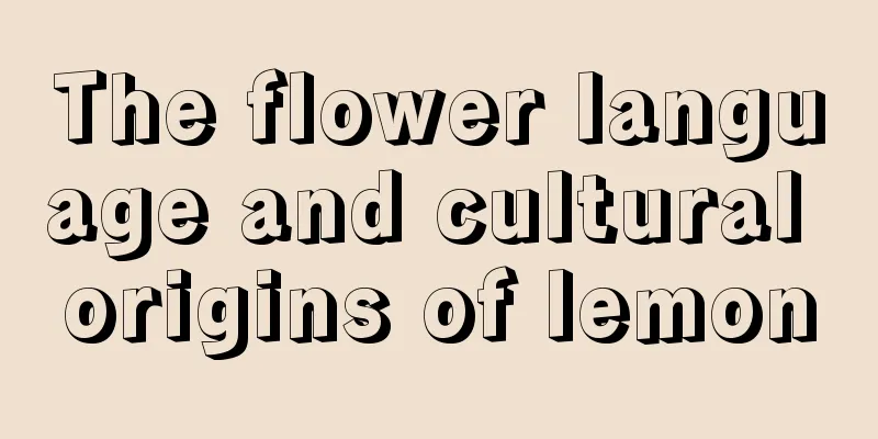 The flower language and cultural origins of lemon