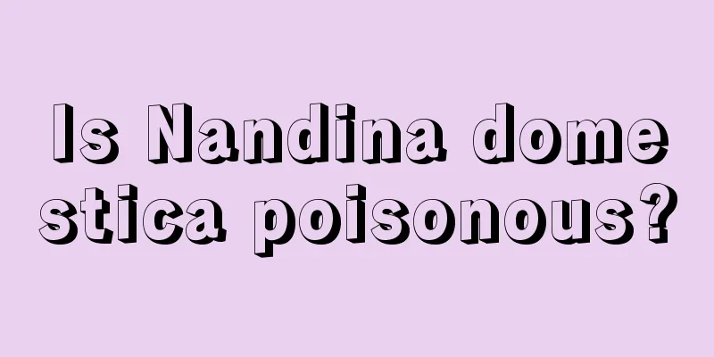 Is Nandina domestica poisonous?