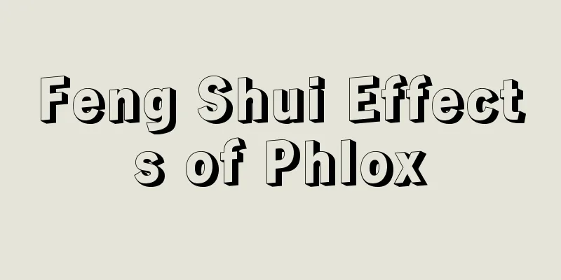 Feng Shui Effects of Phlox