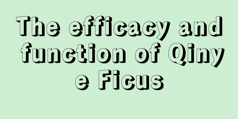 The efficacy and function of Qinye Ficus