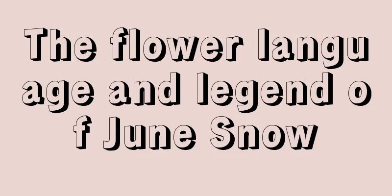 The flower language and legend of June Snow