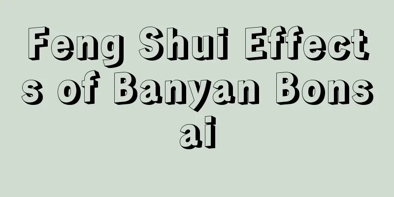 Feng Shui Effects of Banyan Bonsai