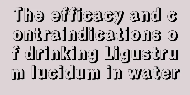 The efficacy and contraindications of drinking Ligustrum lucidum in water