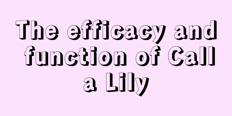 The efficacy and function of Calla Lily