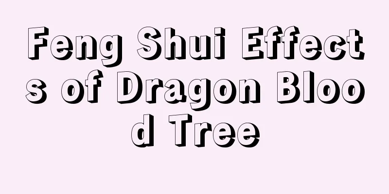 Feng Shui Effects of Dragon Blood Tree