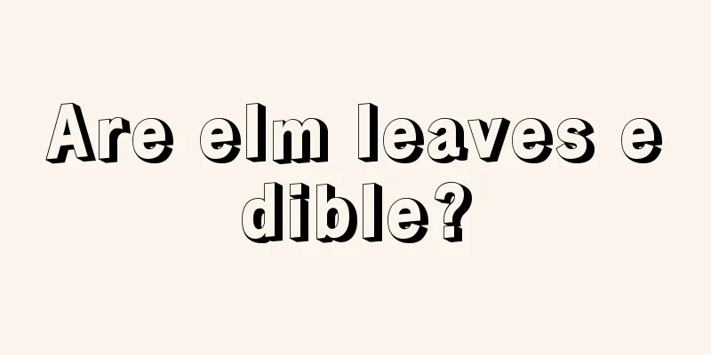 Are elm leaves edible?