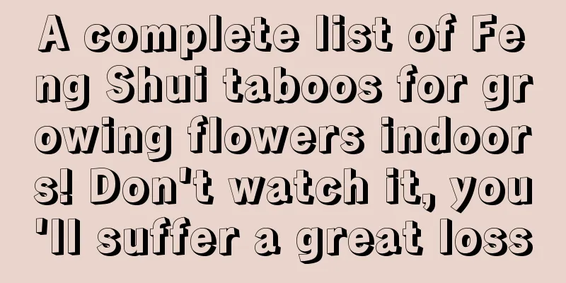 A complete list of Feng Shui taboos for growing flowers indoors! Don't watch it, you'll suffer a great loss