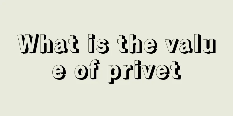 What is the value of privet