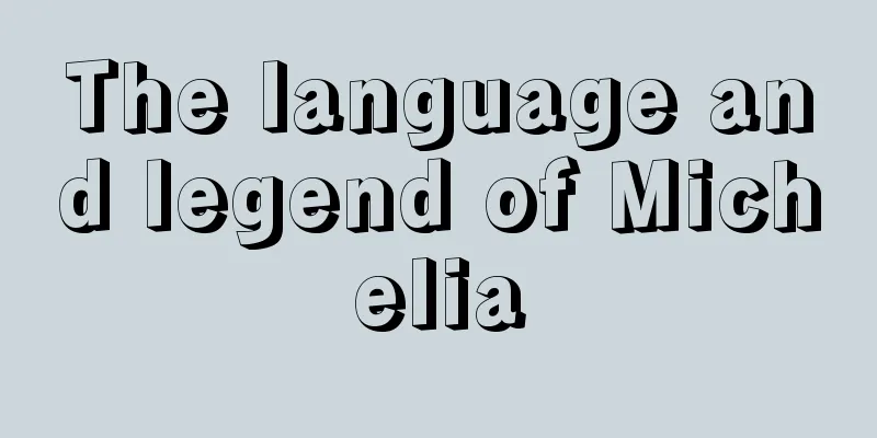 The language and legend of Michelia